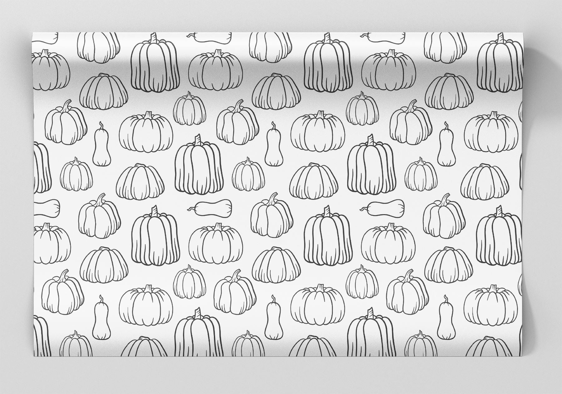 Color-Your-Own Pumpkins Wrapping Paper Alexander&#39;s 